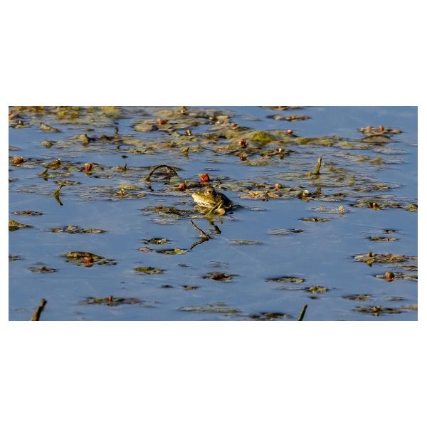 PHOTO84, CLUB, 84 , LUBERON